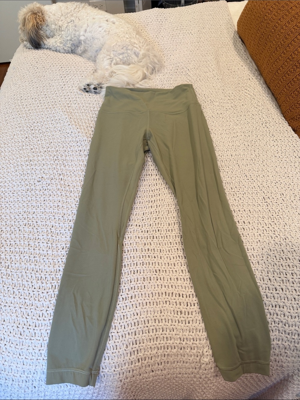 Lululemon Sea Moss Green 7/8 align leggings